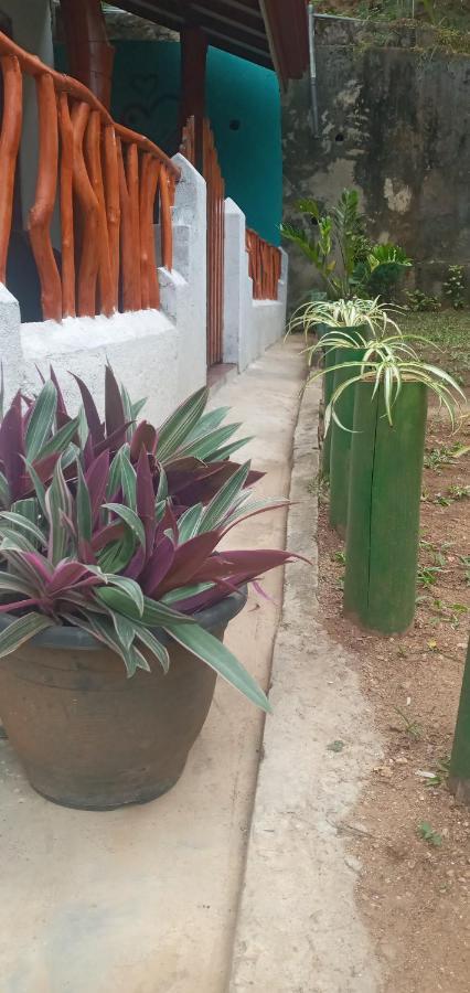 Induwara Guest Hotel Ella Ngoại thất bức ảnh